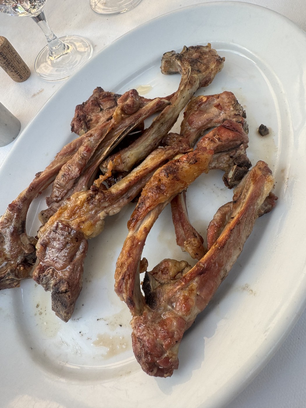 Lamb paidakia chops